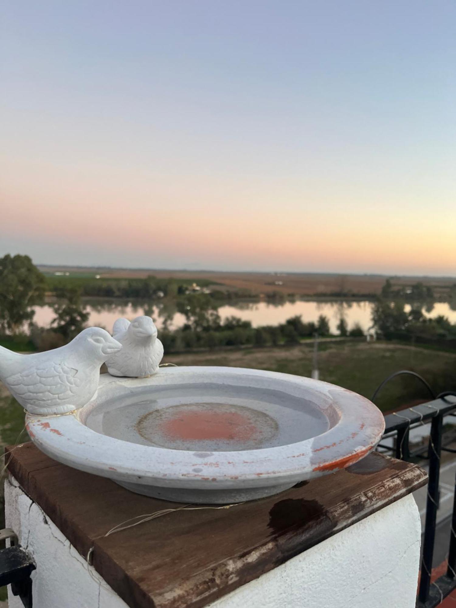 Estudio Las Palmillas Puebla del Río Kültér fotó